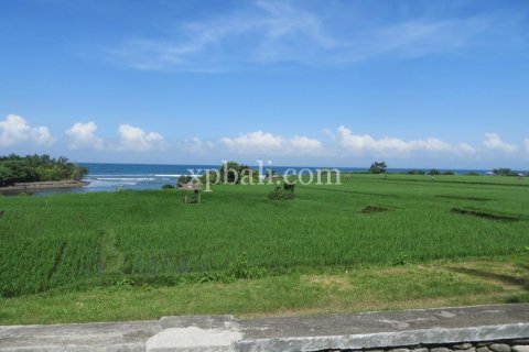 9335m2 Land in Negara, Jembrana,  No. 9167 2