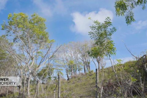 Земельный участок 1700м2 в Nusa Dua, Бадунг,  № 9165 25