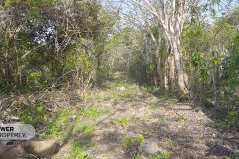 Земельный участок 1700м2 в Nusa Dua, Бадунг,  № 9165 19