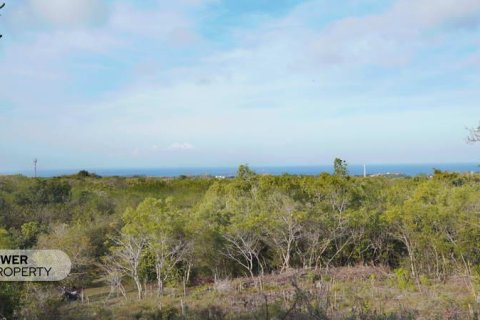 Земельный участок 1700м2 в Nusa Dua, Бадунг,  № 9165 16