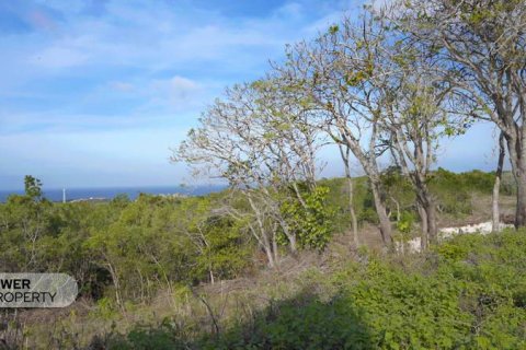 Земельный участок 1700м2 в Nusa Dua, Бадунг,  № 9165 15