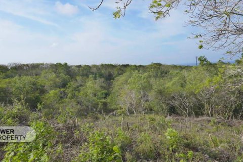 Земельный участок 1700м2 в Nusa Dua, Бадунг,  № 9165 18