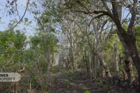 Земельный участок 1700м2 в Nusa Dua, Бадунг,  № 9165 21