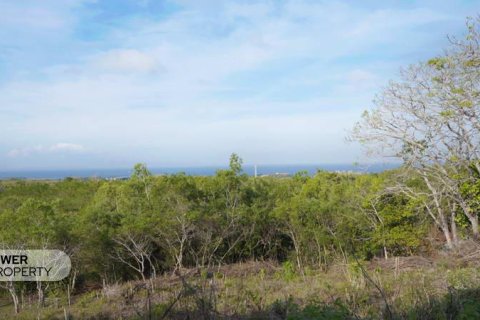 Земельный участок 1700м2 в Nusa Dua, Бадунг,  № 9165 14