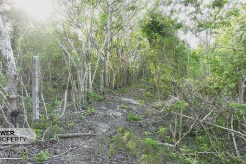 Земельный участок 1700м2 в Nusa Dua, Бадунг,  № 9165 8