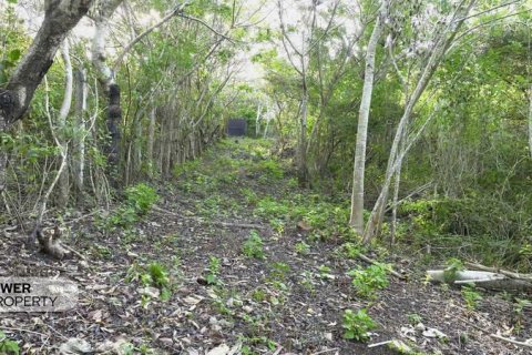 Земельный участок 1700м2 в Nusa Dua, Бадунг,  № 9165 7