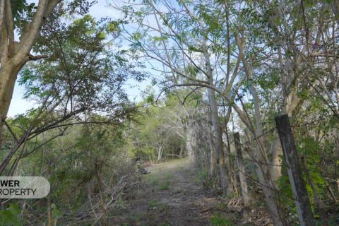 Земельный участок 1700м2 в Nusa Dua, Бадунг,  № 9165 22