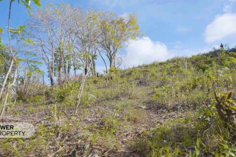 Земельный участок 1700м2 в Nusa Dua, Бадунг,  № 9165 23