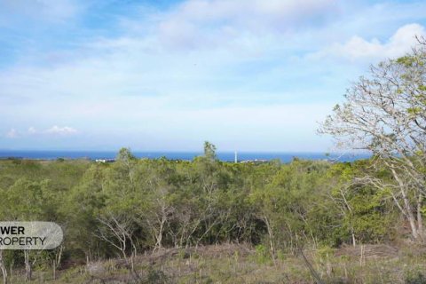 Земельный участок 1700м2 в Nusa Dua, Бадунг,  № 9165 17