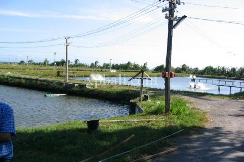 49000m2 Land in Negara, Jembrana,  No. 9170 2