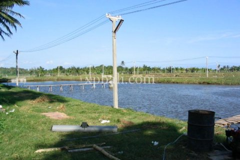 49000m2 Land in Negara, Jembrana,  No. 9170 1