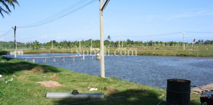 49000m2 Land in Negara, Jembrana,  No. 9170