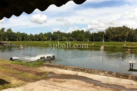 49000m2 Land in Negara, Jembrana,  No. 9170 4
