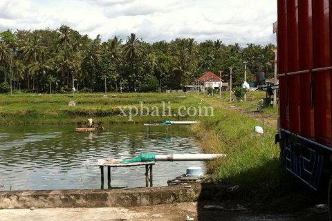 49000m2 Land in Negara, Jembrana,  No. 9170 3