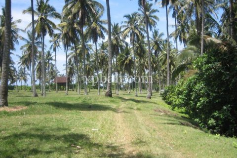 Земельный участок 24800м2 в Tabanan, Табанан, № 9168 6