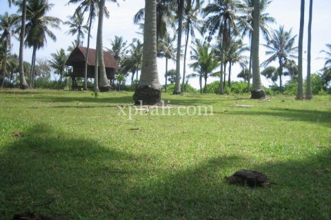Земельный участок 24800м2 в Tabanan, Табанан, № 9168 10