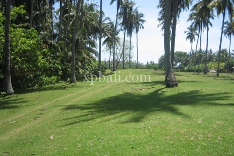 Земельный участок 24800м2 в Tabanan, Табанан, № 9168 7