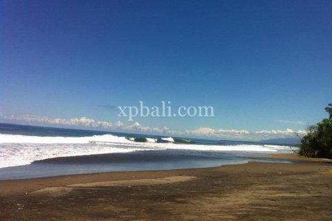 Земельный участок 24800м2 в Tabanan, Табанан, № 9168 2