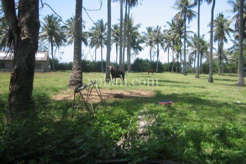 Земельный участок 24800м2 в Tabanan, Табанан, № 9168 8