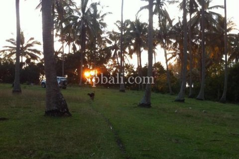 Земельный участок 24800м2 в Tabanan, Табанан, № 9168 4