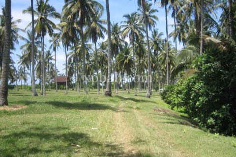 Земельный участок 24800м2 в Tabanan, Табанан, № 9168 9