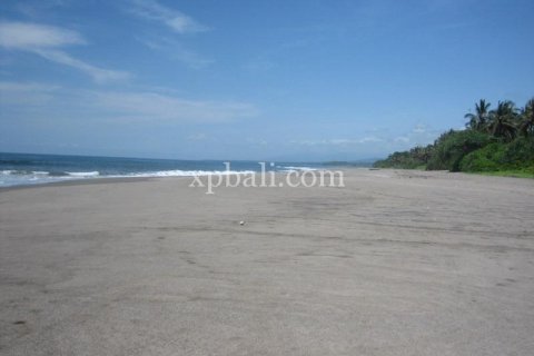 Земельный участок 24800м2 в Tabanan, Табанан, № 9168 3