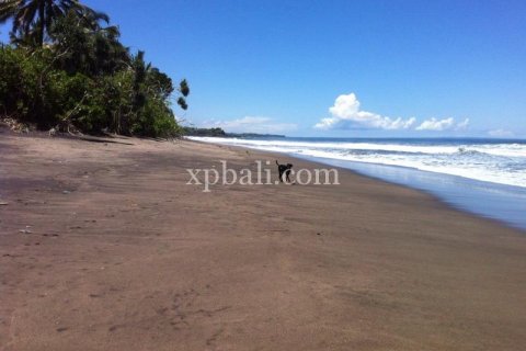 Земельный участок 24800м2 в Tabanan, Табанан, № 9168 1