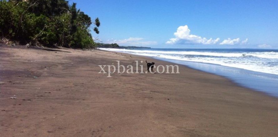 Земельный участок 24800м2 в Tabanan, Табанан, № 9168