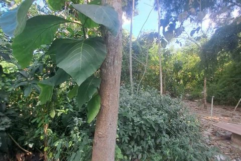 150m2 Land in South Kuta, Badung, Indonesia No. 13629 4