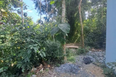 150m2 Land in South Kuta, Badung, Indonesia No. 13629 8