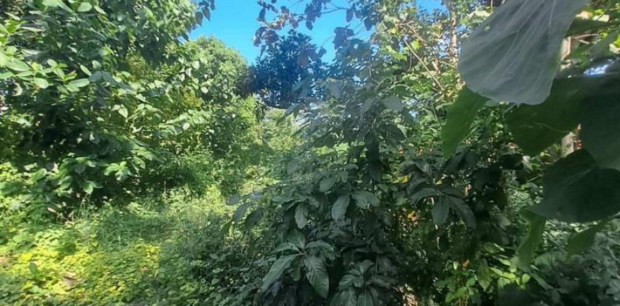 150m2 Land in South Kuta, Badung, Indonesia No. 13629