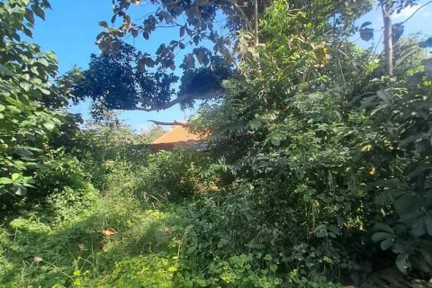 150m2 Land in South Kuta, Badung, Indonesia No. 13629 14