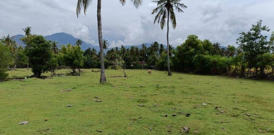 4800m2 Land in Lovina, Anturan, Buleleng, Indonesia No. 13630