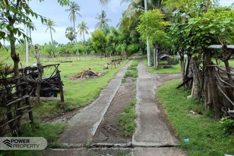 4800m2 Land in Lovina, Anturan, Buleleng, Indonesia No. 13630 3