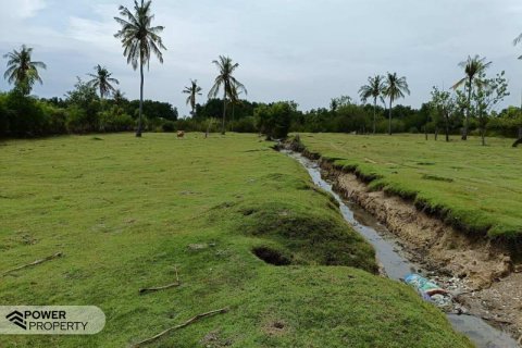 4800m2 Land in Lovina, Anturan, Buleleng, Indonesia No. 13630 5
