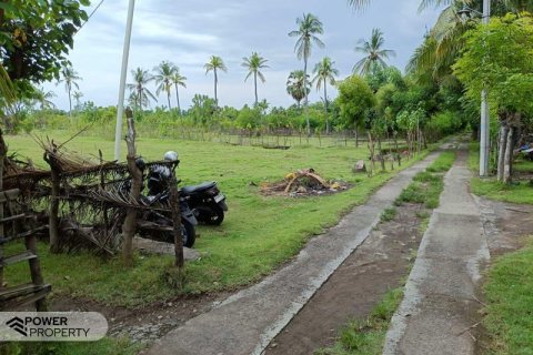 4800m2 Land in Lovina, Anturan, Buleleng, Indonesia No. 13630 7