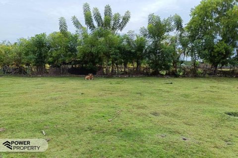 4800m2 Land in Lovina, Anturan, Buleleng, Indonesia No. 13630 6