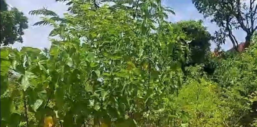 2610m2 Land in Kuta, Badung, Indonesia No. 13631