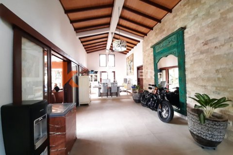 5 bedrooms Villa in Denpasar, Indonesia No. 13089 5