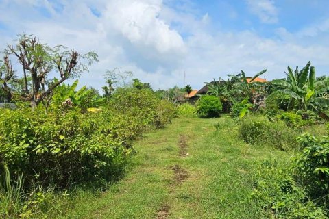 650m2 Land in South Kuta, Badung, Indonesia No. 9620