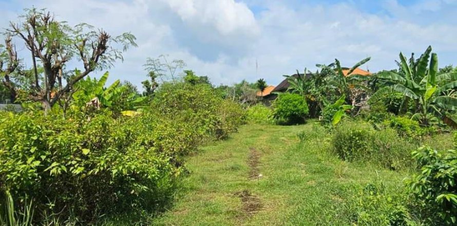 650m2 Land in South Kuta, Badung, Indonesia No. 9620