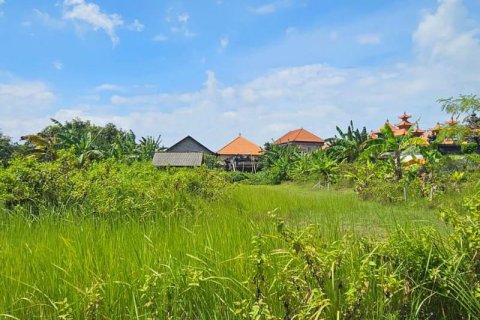 650m2 Land in South Kuta, Badung, Indonesia No. 9620 2