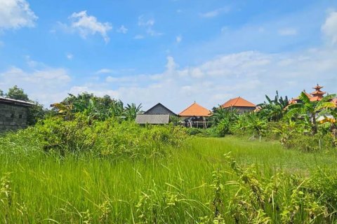 650m2 Land in South Kuta, Badung, Indonesia No. 9620 6