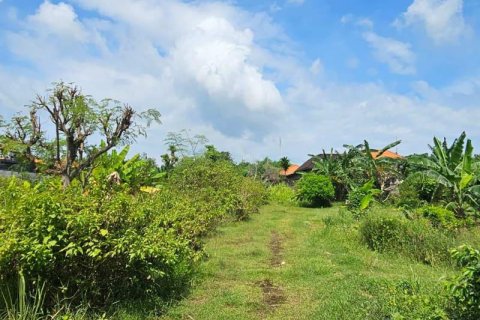 650m2 Land in South Kuta, Badung, Indonesia No. 9620 4