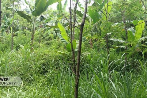 Земельный участок 1567м2 в Центральный Ломбок,  № 9621 5