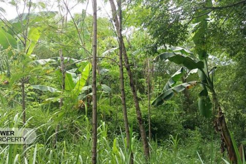 Земельный участок 1567м2 в Центральный Ломбок,  № 9621 10