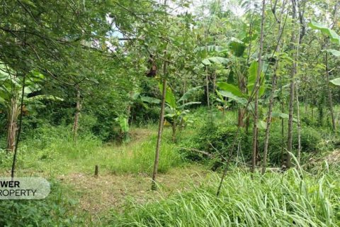 Земельный участок 1567м2 в Центральный Ломбок,  № 9621 4