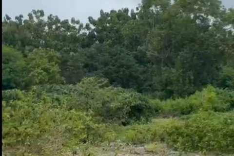 Земельный участок 13475м2 в Южная Кута, Бадунг,  № 9591 3