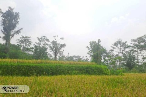 200m2 Land in Ubud, Gianyar, Indonesia No. 13355 22
