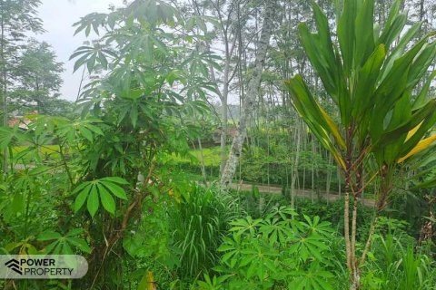200m2 Land in Ubud, Gianyar, Indonesia No. 13355 8
